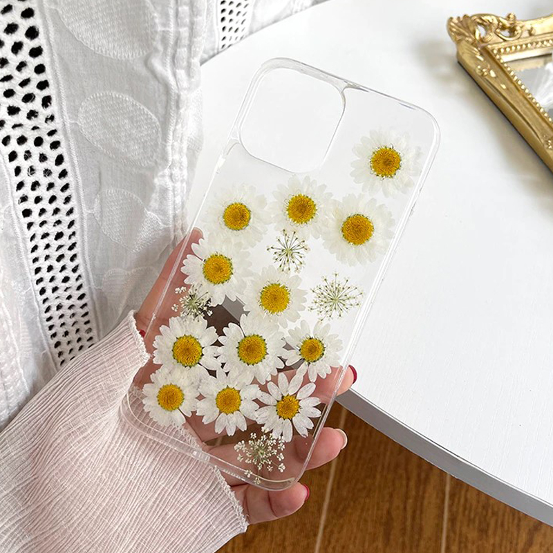 Pressed Dried Daisy iPhone Case