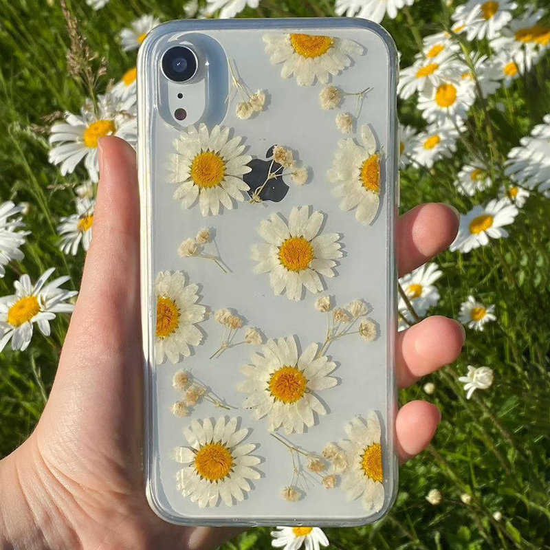 Dried Daisy iPhone XR Case